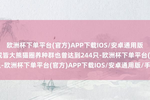 欧洲杯下单平台(官方)APP下载IOS/安卓通用版/手机版2023年底时成皆大熊猫圈养种群也曾达到244只-欧洲杯下单平台(官方)APP下载IOS/安卓通用版/手机版