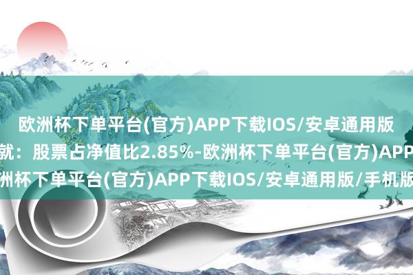 欧洲杯下单平台(官方)APP下载IOS/安卓通用版/手机版该基金金钱成就：股票占净值比2.85%-欧洲杯下单平台(官方)APP下载IOS/安卓通用版/手机版