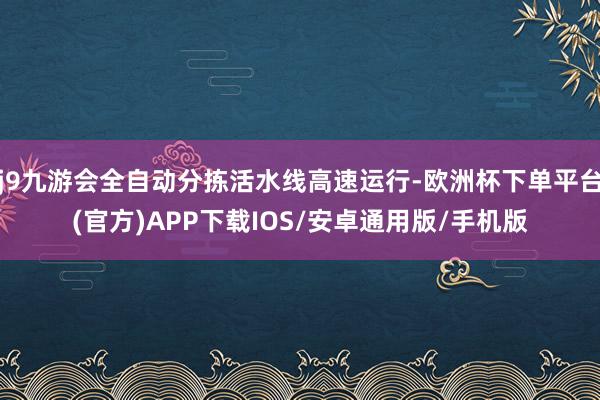 j9九游会全自动分拣活水线高速运行-欧洲杯下单平台(官方)APP下载IOS/安卓通用版/手机版