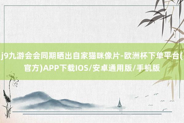 j9九游会会同期晒出自家猫咪像片-欧洲杯下单平台(官方)APP下载IOS/安卓通用版/手机版