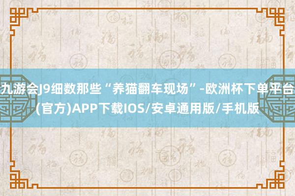 九游会J9细数那些“养猫翻车现场”-欧洲杯下单平台(官方)APP下载IOS/安卓通用版/手机版