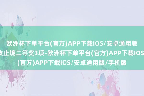 欧洲杯下单平台(官方)APP下载IOS/安卓通用版/手机版其中国度科技止境二等奖3项-欧洲杯下单平台(官方)APP下载IOS/安卓通用版/手机版