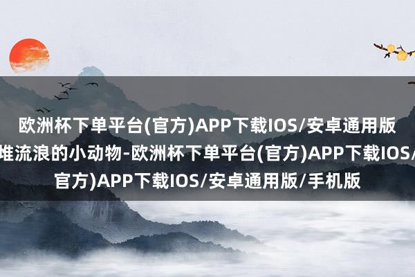 欧洲杯下单平台(官方)APP下载IOS/安卓通用版/手机版家里养了一堆流浪的小动物-欧洲杯下单平台(官方)APP下载IOS/安卓通用版/手机版