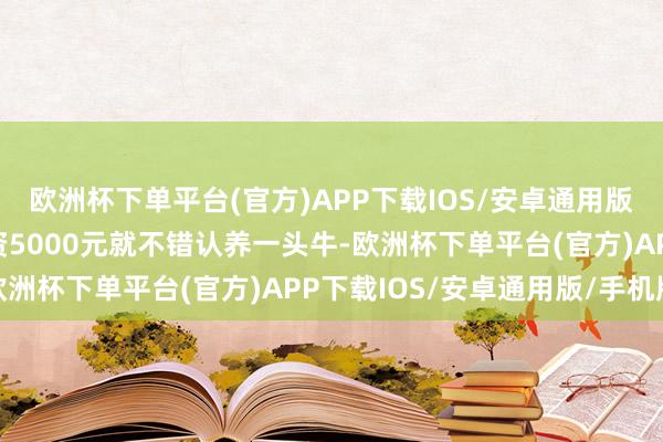 欧洲杯下单平台(官方)APP下载IOS/安卓通用版/手机版在收罗平台投资5000元就不错认养一头牛-欧洲杯下单平台(官方)APP下载IOS/安卓通用版/手机版
