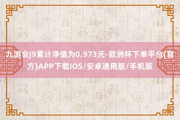 九游会J9累计净值为0.973元-欧洲杯下单平台(官方)APP下载IOS/安卓通用版/手机版