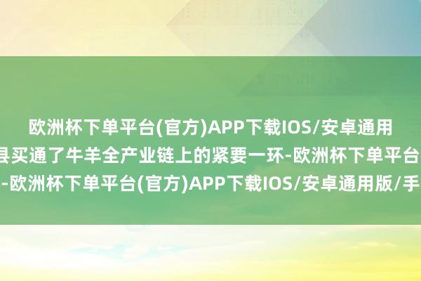 欧洲杯下单平台(官方)APP下载IOS/安卓通用版/手机版这记号着该县买通了牛羊全产业链上的紧要一环-欧洲杯下单平台(官方)APP下载IOS/安卓通用版/手机版