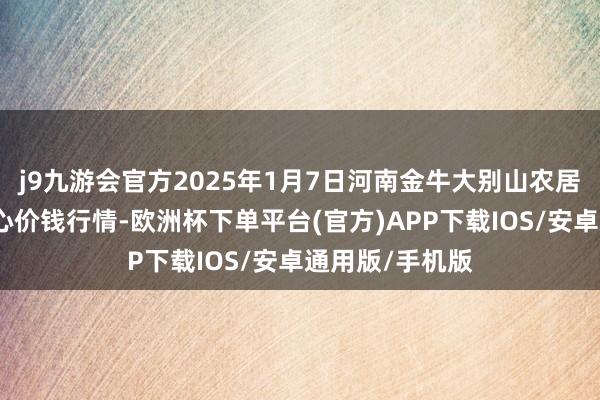 j9九游会官方2025年1月7日河南金牛大别山农居品当代物流中心价钱行情-欧洲杯下单平台(官方)APP下载IOS/安卓通用版/手机版