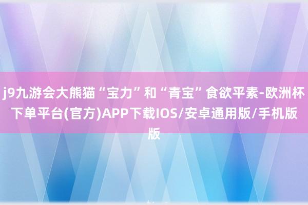 j9九游会大熊猫“宝力”和“青宝”食欲平素-欧洲杯下单平台(官方)APP下载IOS/安卓通用版/手机版