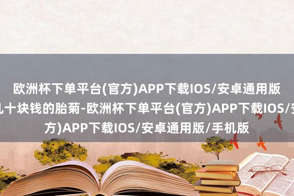 欧洲杯下单平台(官方)APP下载IOS/安卓通用版/手机版东谈主家几十块钱的胎菊-欧洲杯下单平台(官方)APP下载IOS/安卓通用版/手机版