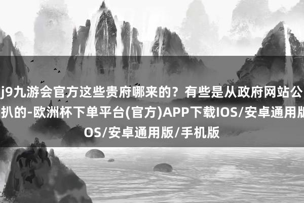 j9九游会官方这些贵府哪来的？有些是从政府网站公开信息里扒的-欧洲杯下单平台(官方)APP下载IOS/安卓通用版/手机版