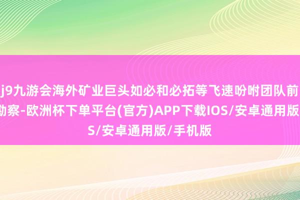 j9九游会海外矿业巨头如必和必拓等飞速吩咐团队前去规划勘察-欧洲杯下单平台(官方)APP下载IOS/安卓通用版/手机版