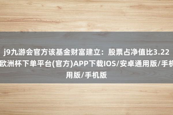 j9九游会官方该基金财富建立：股票占净值比3.22%-欧洲杯下单平台(官方)APP下载IOS/安卓通用版/手机版