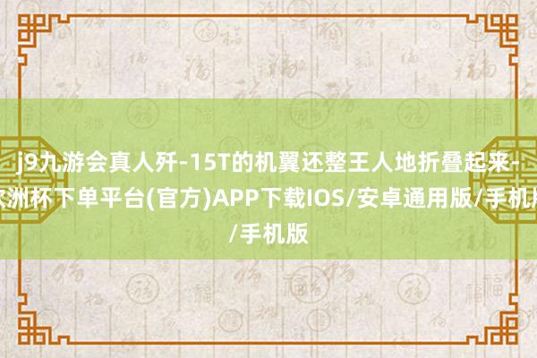 j9九游会真人歼-15T的机翼还整王人地折叠起来-欧洲杯下单平台(官方)APP下载IOS/安卓通用版/手机版