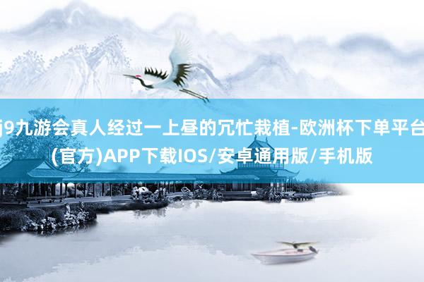j9九游会真人经过一上昼的冗忙栽植-欧洲杯下单平台(官方)APP下载IOS/安卓通用版/手机版