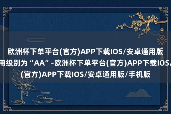 欧洲杯下单平台(官方)APP下载IOS/安卓通用版/手机版洽洽转债信用级别为“AA”-欧洲杯下单平台(官方)APP下载IOS/安卓通用版/手机版