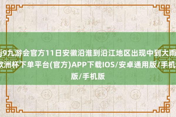 j9九游会官方11日安徽沿淮到沿江地区出现中到大雨-欧洲杯下单平台(官方)APP下载IOS/安卓通用版/手机版